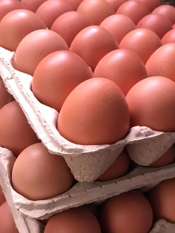 Bandejas apiladas con huevos